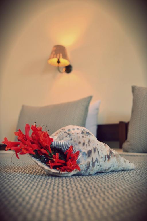 Anemologio Apartment ฟินิกัส ห้อง รูปภาพ